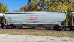 CN 116291